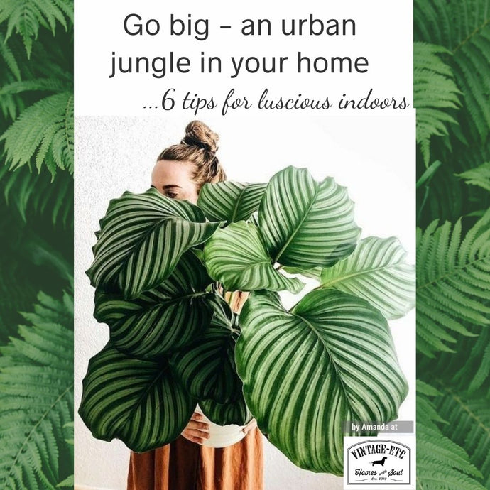 Go big - an urban jungle in your home
