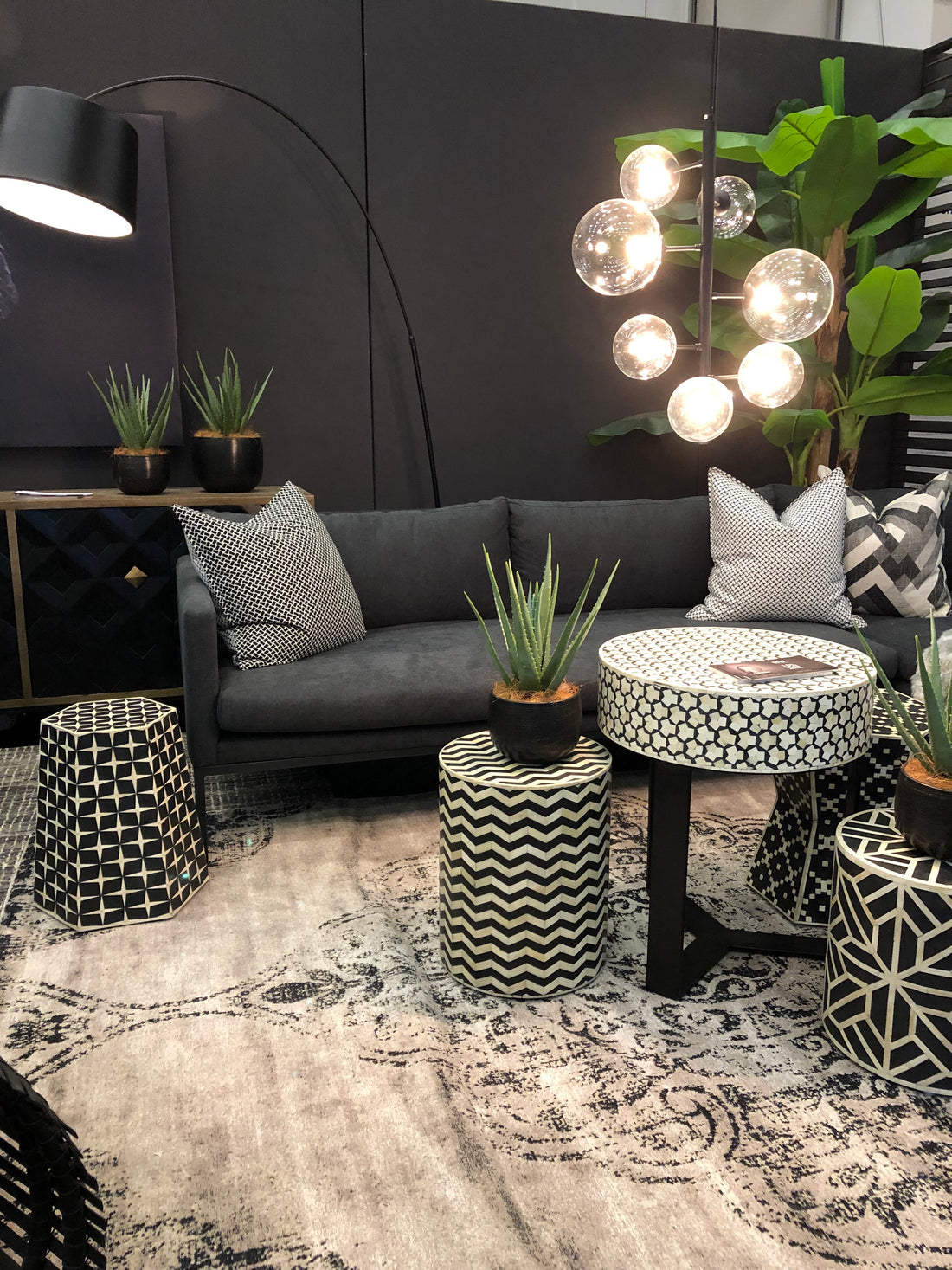 Decorex SA 2019