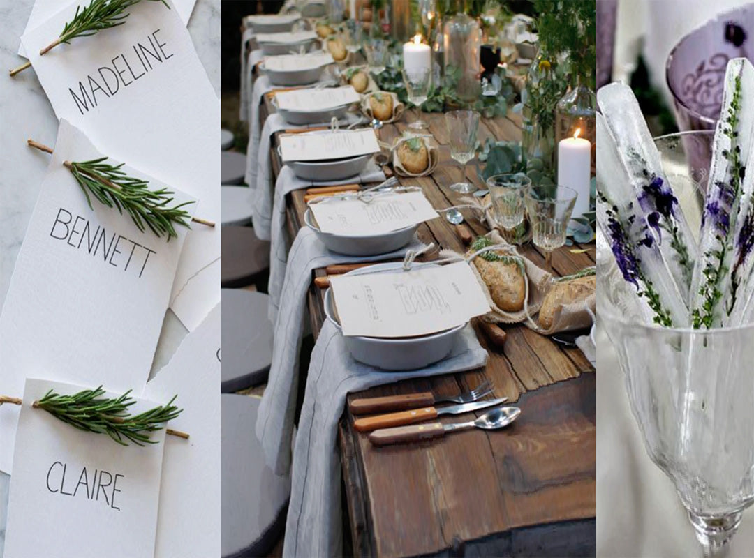 Outdoor Dining Ideas