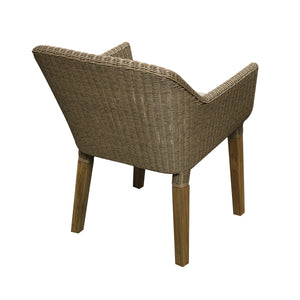 Alter dining chair & cushion back
