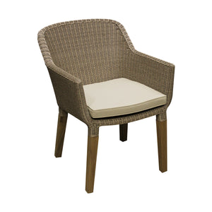 Alter dining chair & cushion front